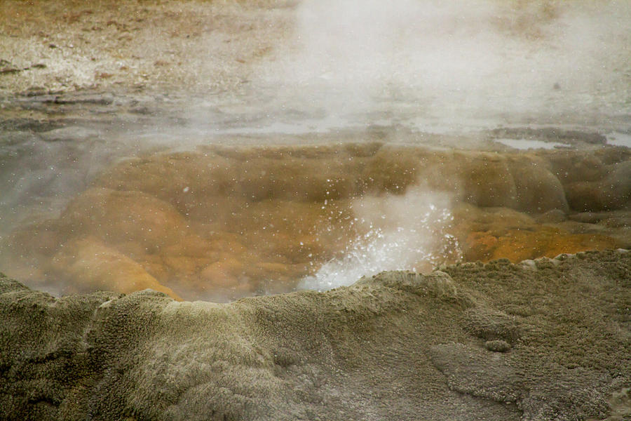Steaming geyser vents at Fountain Paint Pots in Yellowstone Nati Photograph by Karen Foley