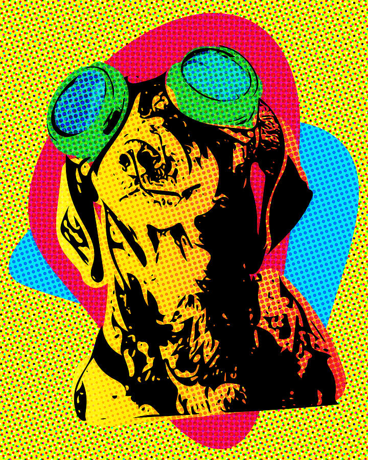 Steampunk Dachshund Pop Art Digital Art by SR Green
