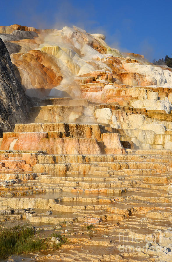 Steamy Travertine Hot Spring Terraces at Mammoth Hot Springs Yellowstone National Park Photograph by Shawn OBrien
