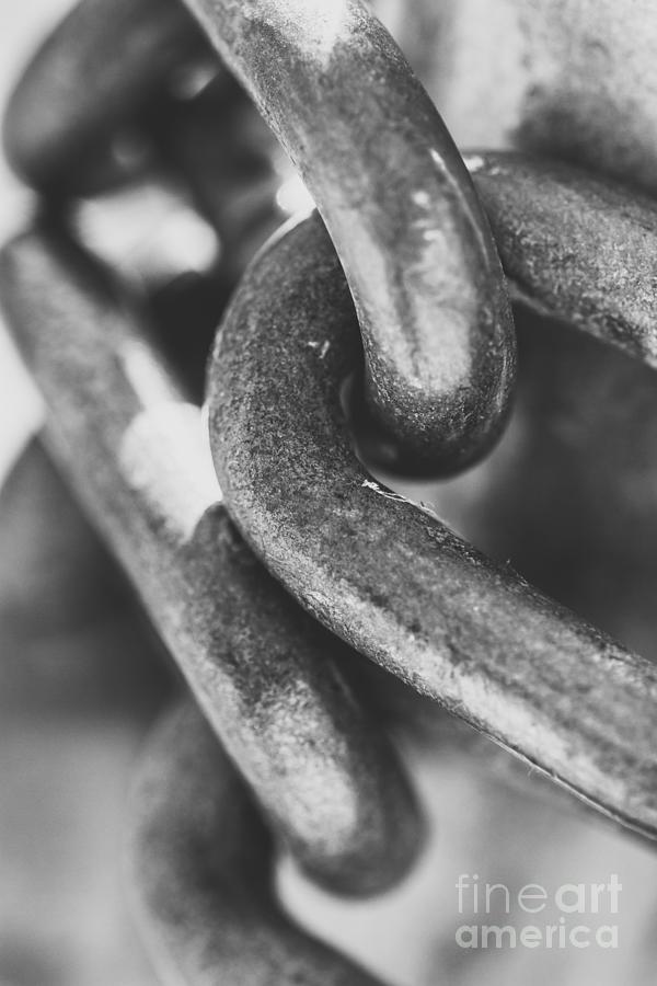 Steel chain link Photograph by Jorgo Photography