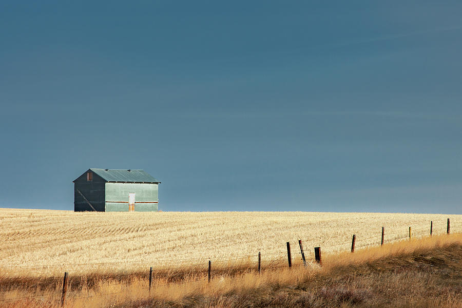 Winter Photograph - Steel Clad Shed by Todd Klassy