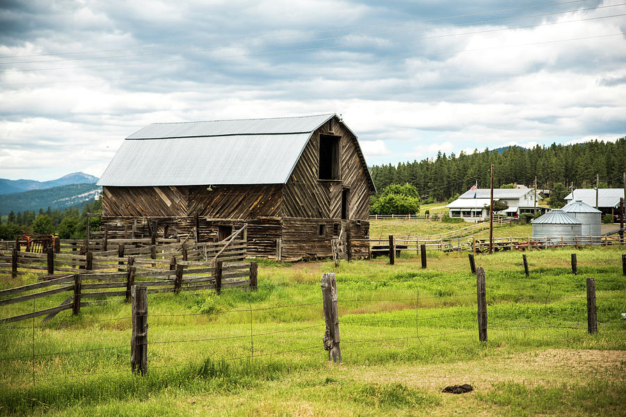 Steel Roofed Barn Photograph by Tom Cochran