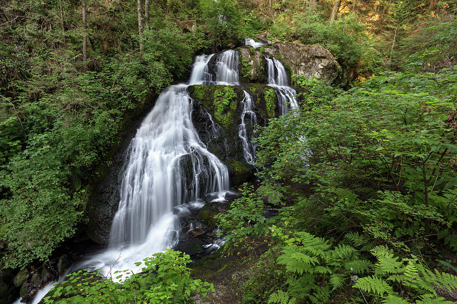 Steelhead Falls in the Summer Photograph by Michael Russell