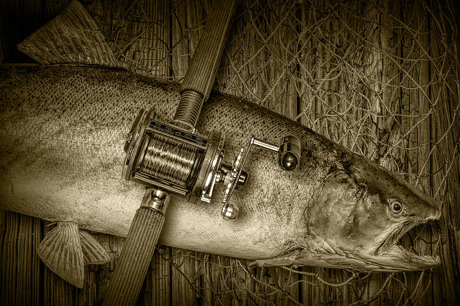 Nature Photograph - Steelhead Trout Catch in Sepia by Randall Nyhof