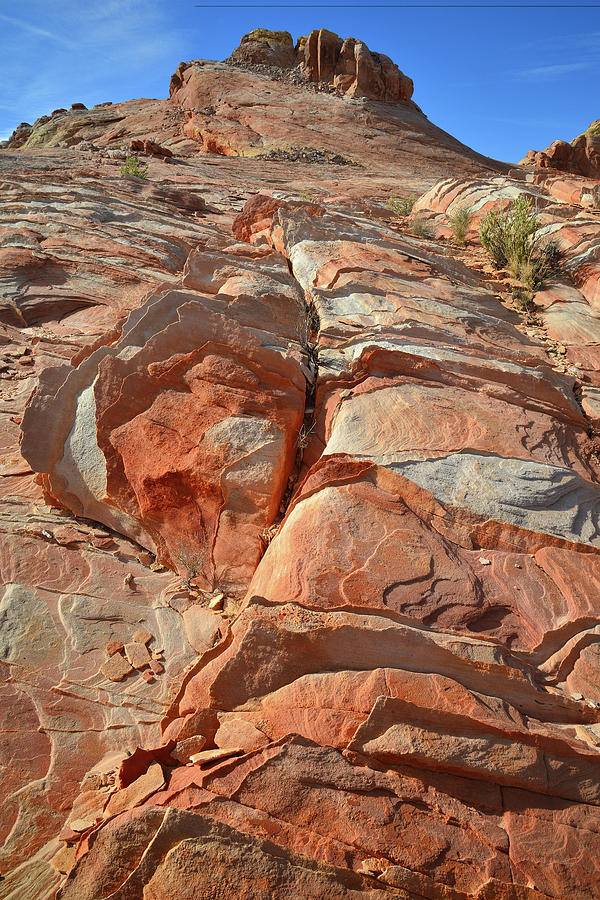 Steep Slopes of Color in Valley of Fire Photograph by Ray Mathis