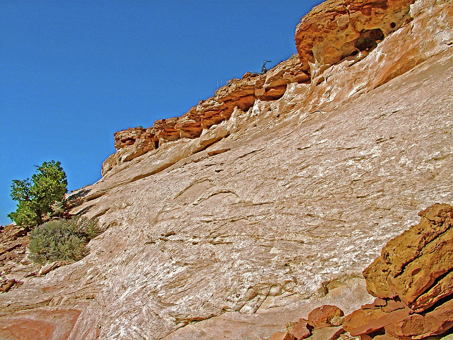 Steeper near Top on Aztec Butte Trail  in Island in Sky District of Canyonlands National Park,Utah Photograph by Ruth Hager