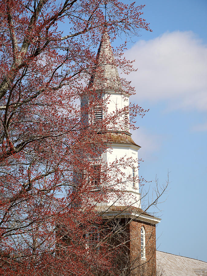 Steeple of Bruton Parish in Spring Photograph by Rachel Morrison