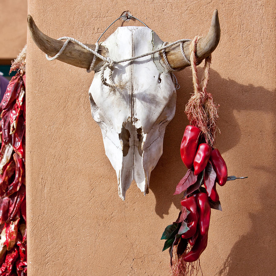 Steer Skull in Santa Fe Photograph by Art Block Collections