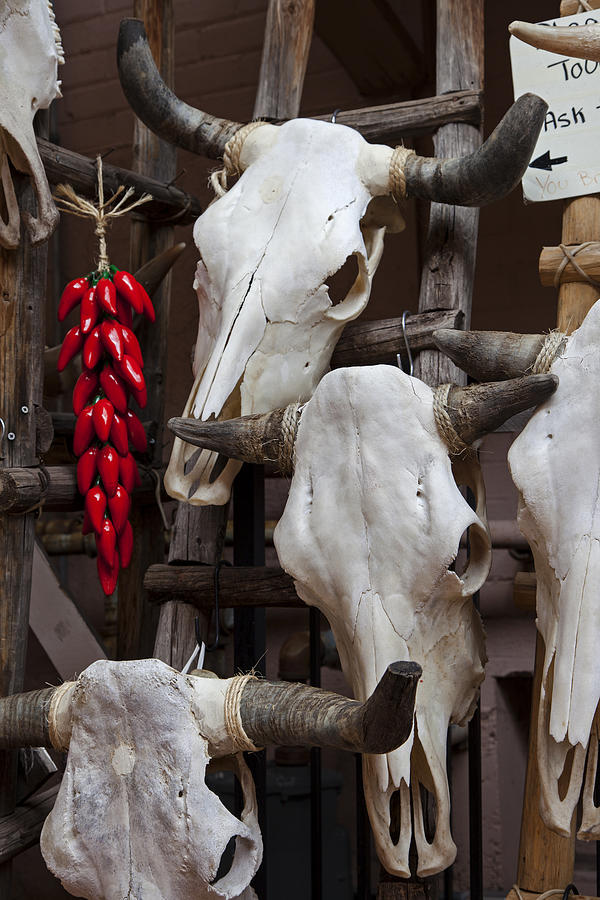 Steer Skulls and Chili Peppers Photograph by Rick Pisio