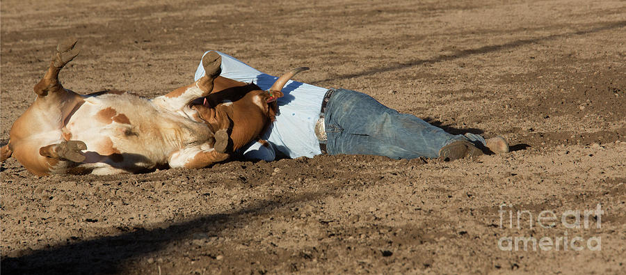 Steer Wrestling Photograph by Jim West