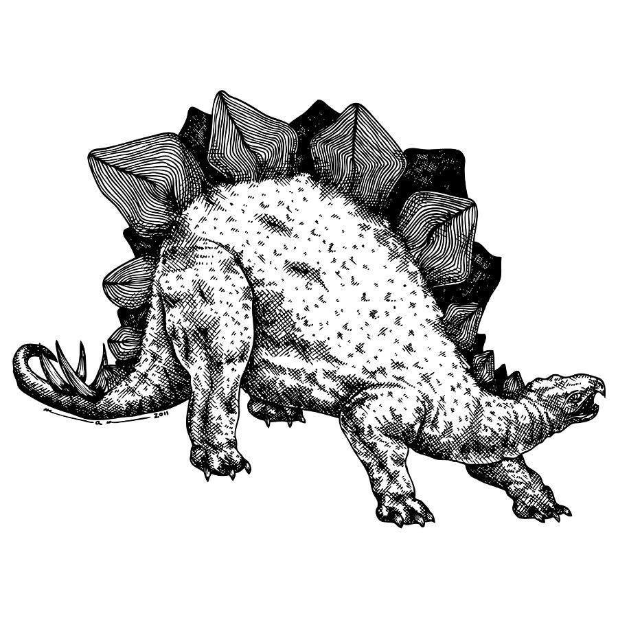 Dinosaur Drawing - Stegosaurs by Karl Addison
