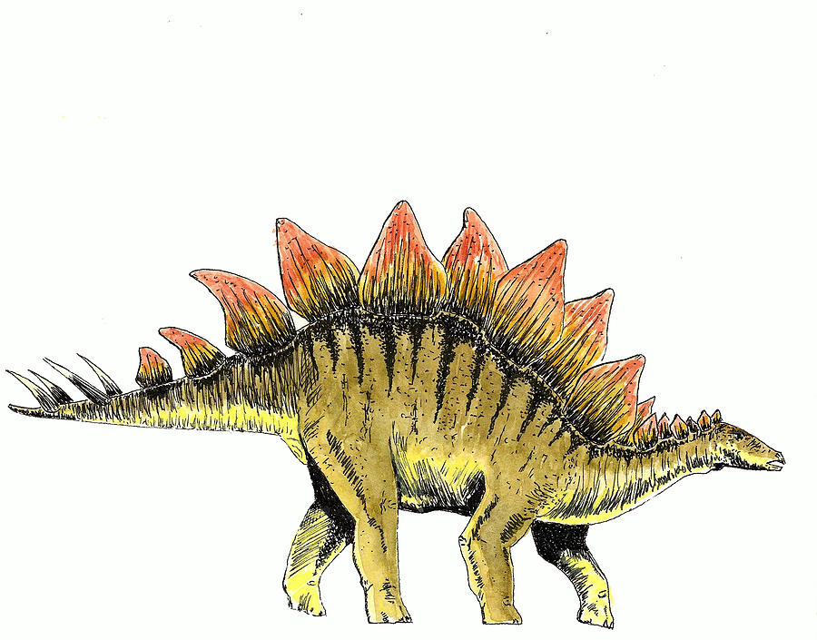 Prehistoric Painting - Stegosaurus by Michael Vigliotti