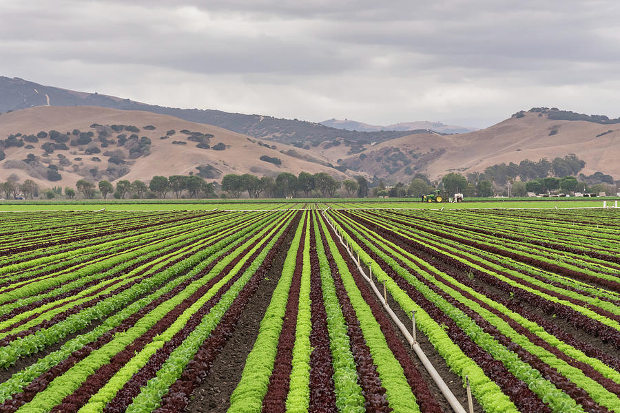 Steinbeck Country Photograph by David A Litman - Pixels