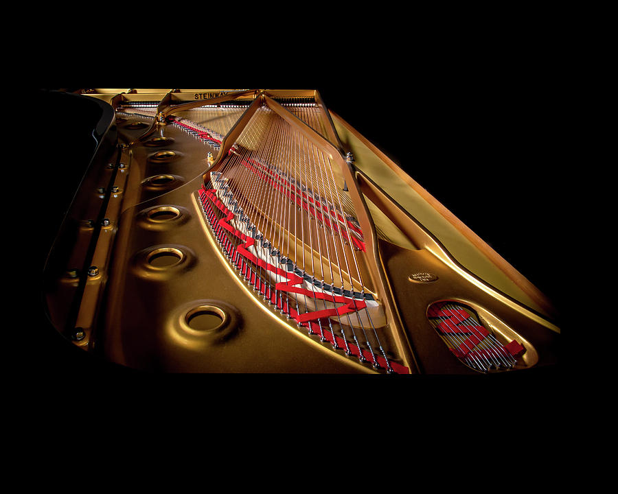 Steinway Guts by Adam Reinhart Steinway Guts by Adam Reinhart