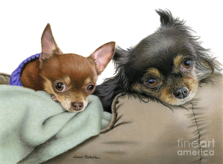 Chihuahuas Painting - Stella And Nettie by Sarah Batalka