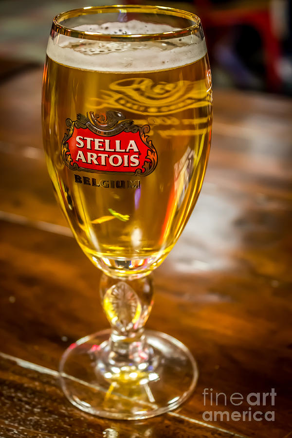Stella Artois  Photograph by Claudia M Photography