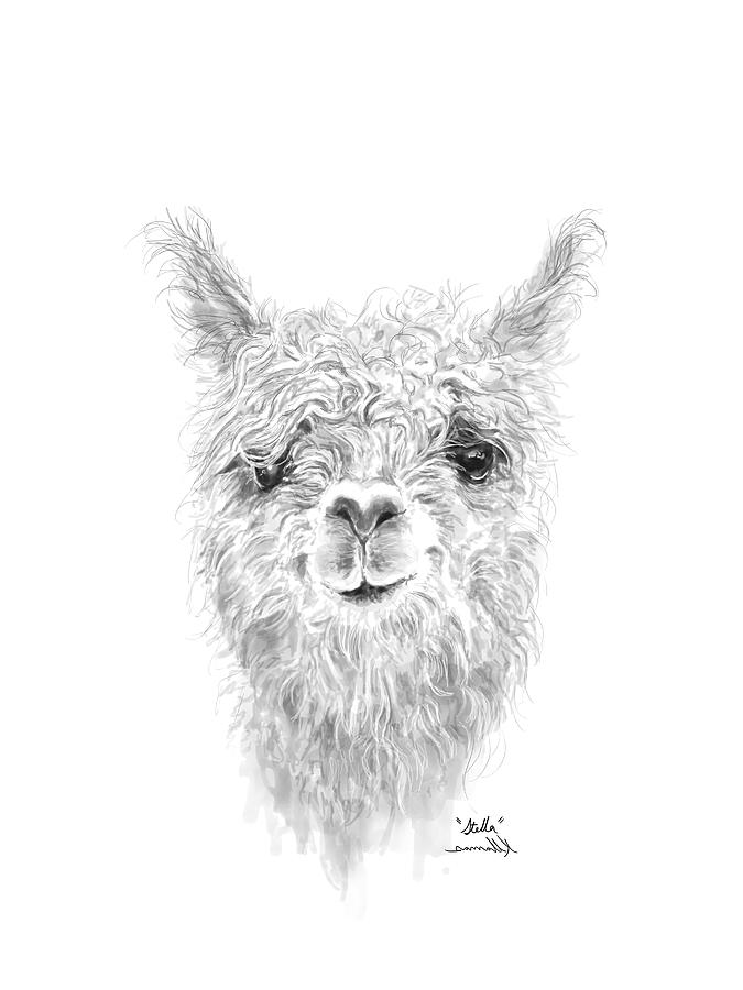 Llama Drawing - Stella by Kristin Llamas