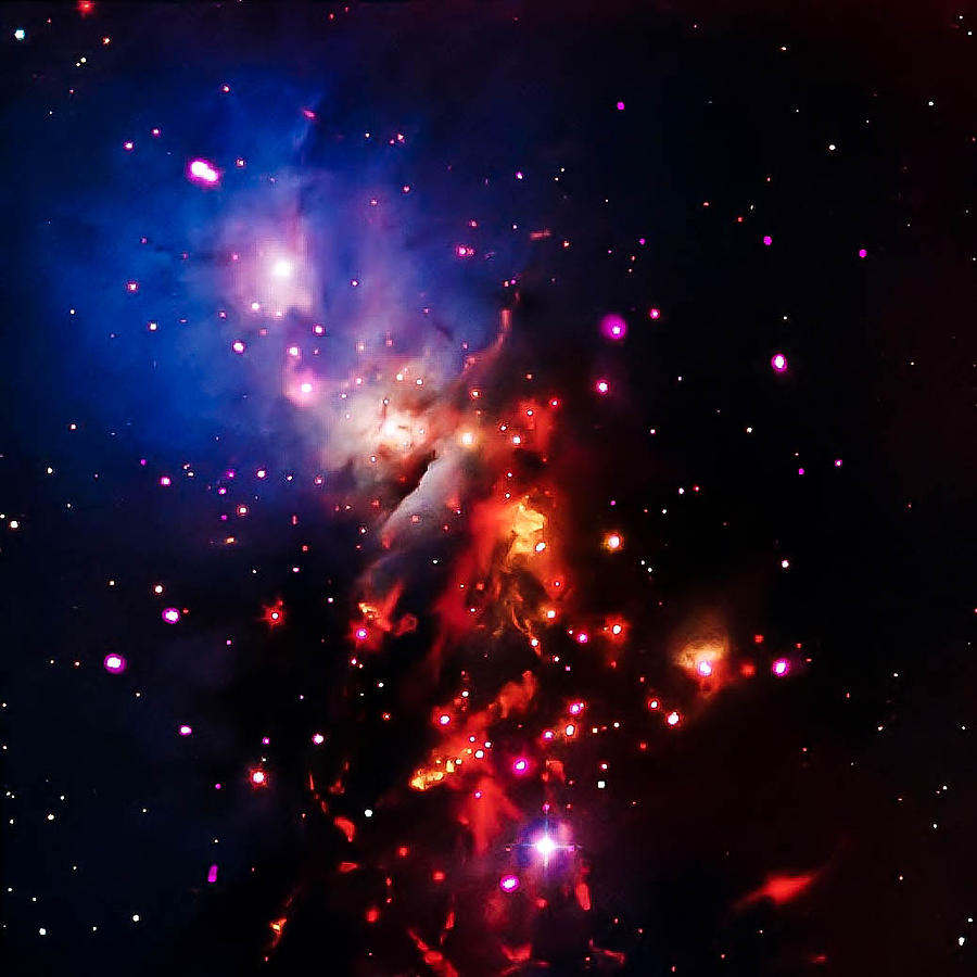 Stellar Sparklers That Last Photograph by Britten Adams