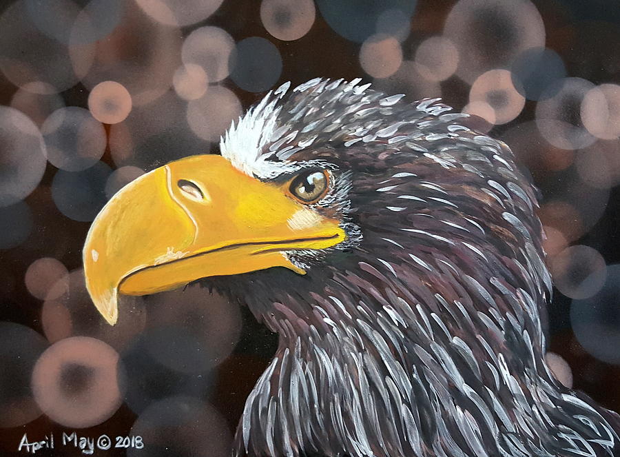 Steller's Sea Eagle Painting by April May | Fine Art America