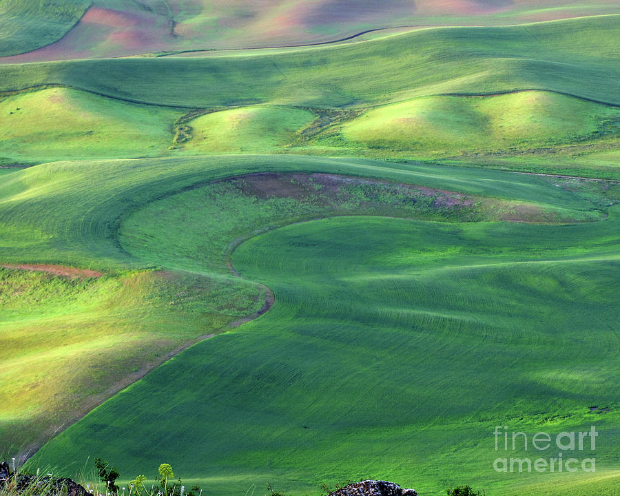 Morning on the Palouse Photograph by Don Siebel