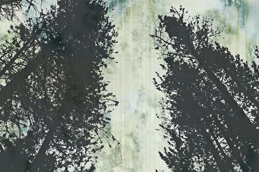 Stencilled Trees Photograph by Danielle Basler - Fine Art America