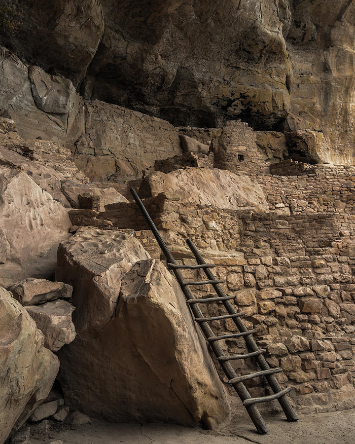 Mesa Verde National Park Photograph - Step House Ladder by Joseph Smith