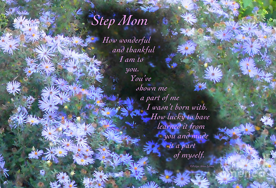 Love Photograph - Step Mom, a Gift Writing by Felipe Adan Lerma