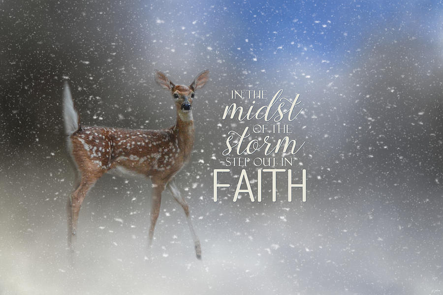 Step Out In Faith - Deer Art Photograph by Jai Johnson