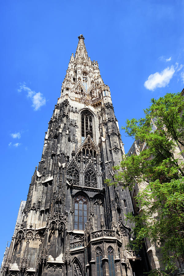 Architecture Photograph - Stephansdom Gothic Tower in Vienna by Artur Bogacki