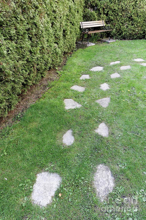 Stepping stones in a garden Photograph by John  Mitchell