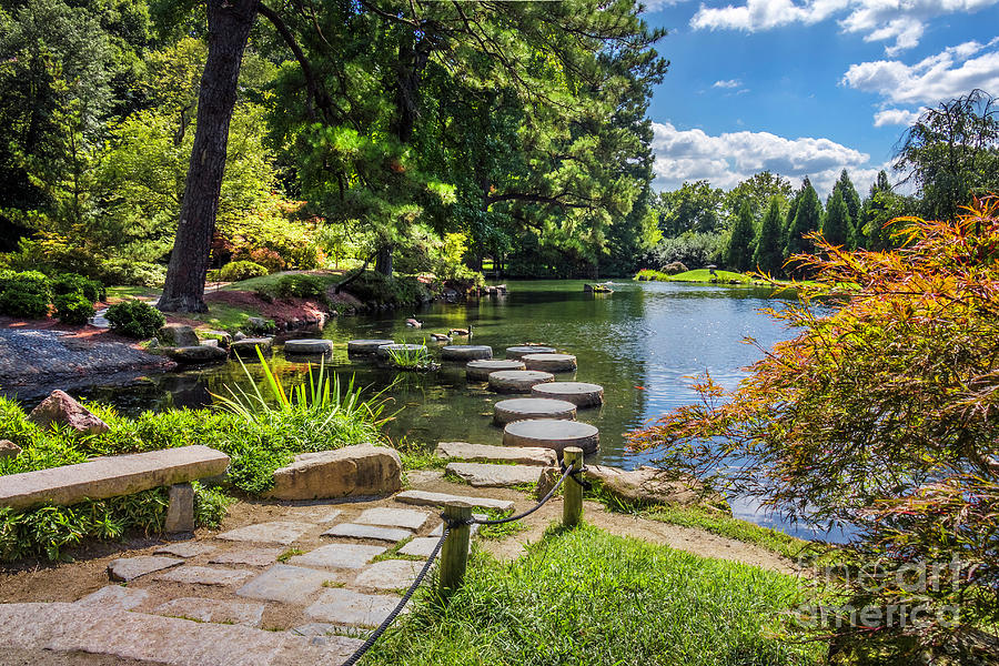 Stepping Stones Japanese Garden Maymont Photograph by Karen Jorstad