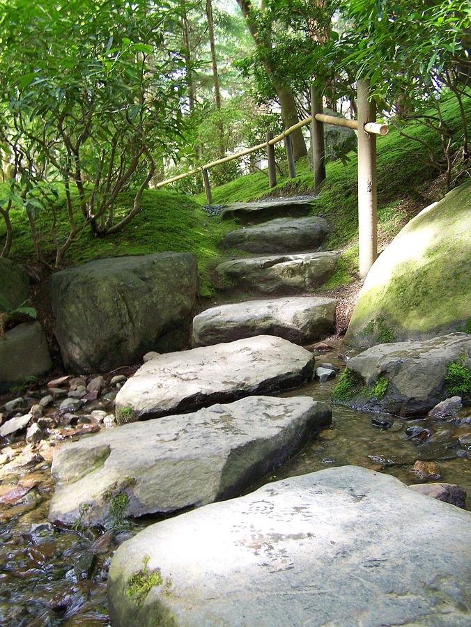 Stepping Stones Photograph by Julia Thompson - Fine Art America