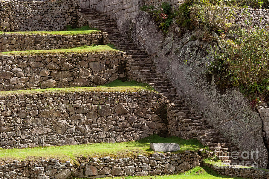 Architecture Photograph - Steps and Terraces by Bob Phillips