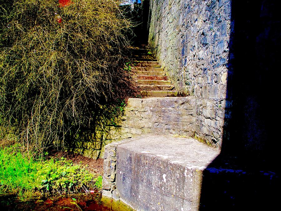 Steps Photograph - Steps From Nowhere To Nowhere by Kenlynn Schroeder