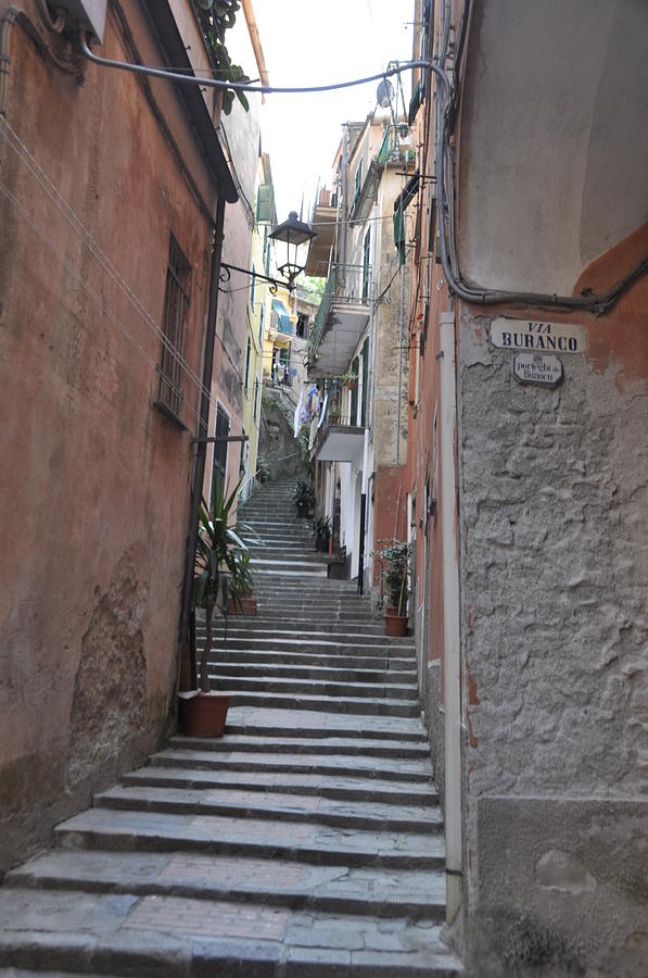 Steps in Monterosso Photograph by Josephine Buschman