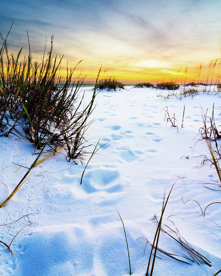 Steps in the Sand Photograph by Cody Meadows