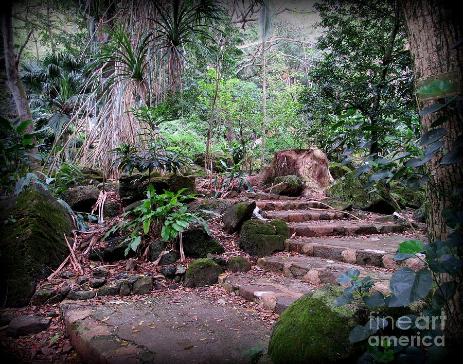 Oahu Photograph - Steps in Waimea Valley by Joy Patzner Oahu Photograph - Steps in Waimea Valley by Joy Patzner