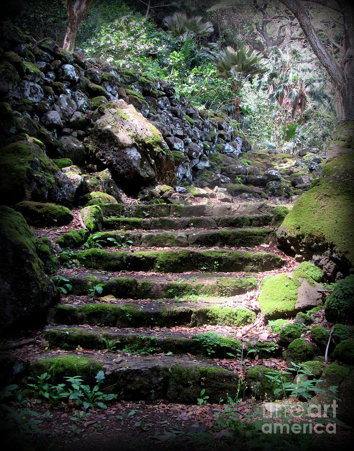 Oahu Photograph - Steps to a Sacred Place by Joy Patzner Oahu Photograph - Steps to a Sacred Place by Joy Patzner