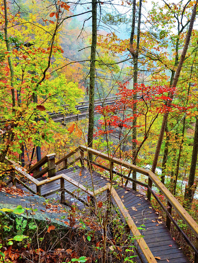 Steps To The Gorge Photograph