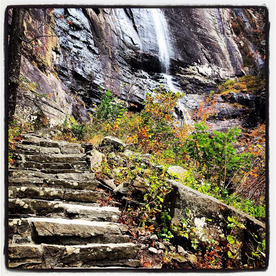 Steps to Waterfall Photograph by Will Felix