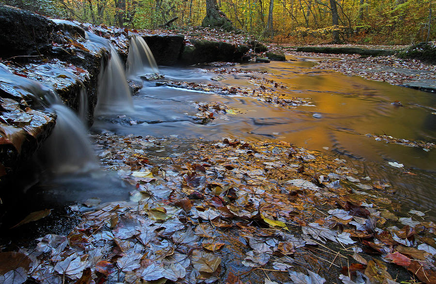Fall Photograph - Stepstone Falls in Rhode Island by Juergen Roth