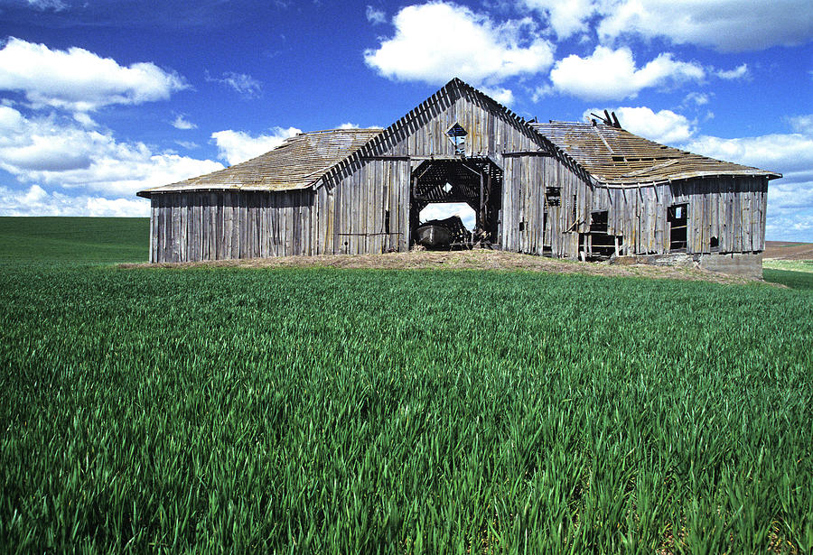 Steptoe Barn Photograph by Doug Davidson