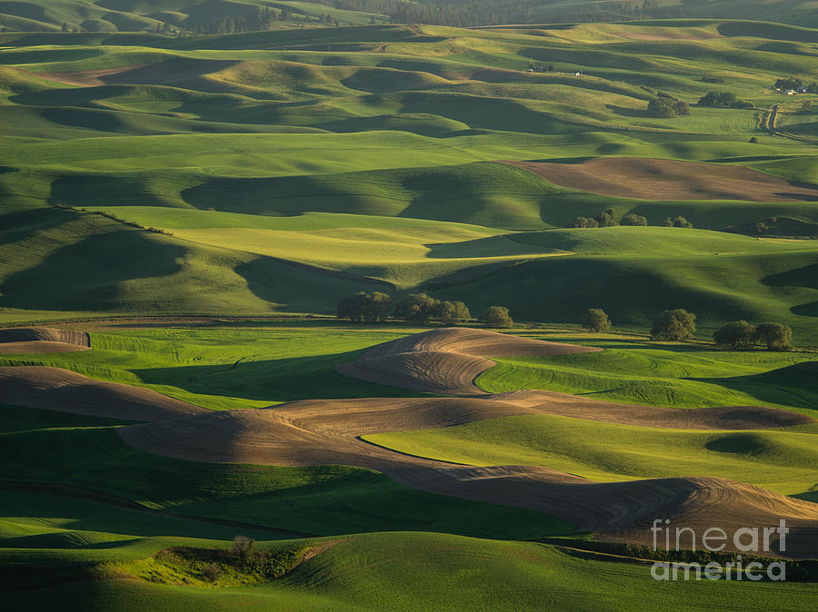 Steptoe Butte 4 Photograph by Tracy Knauer - Pixels