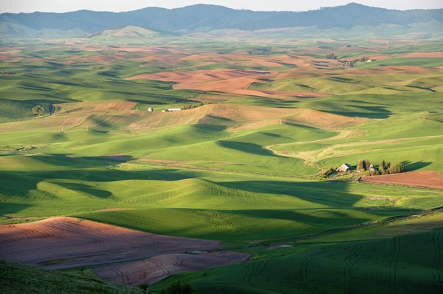 Steptoe Buttes View Photograph by Lee Chon - Fine Art America