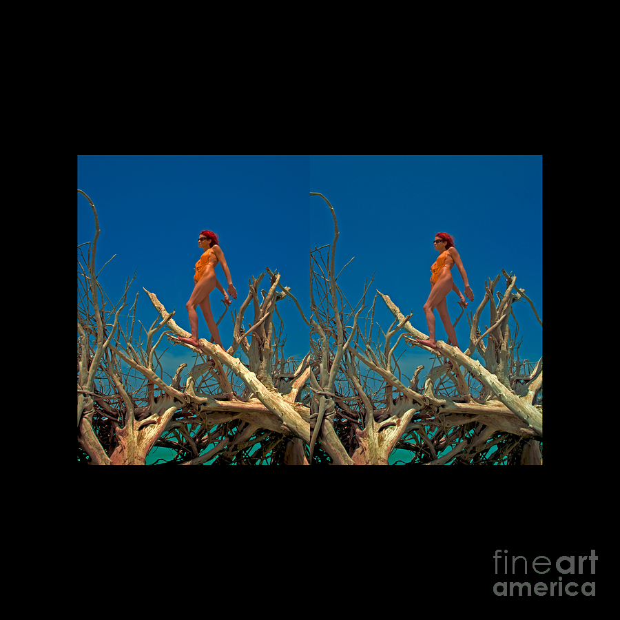 Stereoscopic Driftwood Beach Bikini Girl Audrey Michelle 014 Photograph by Rolf Bertram