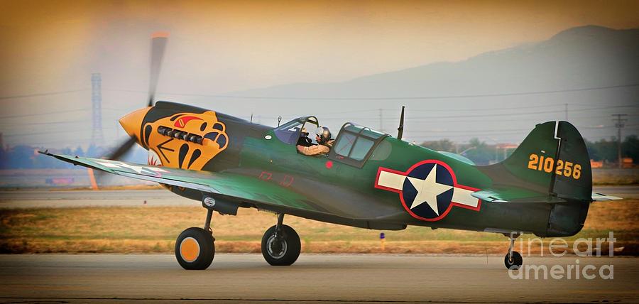 Steve Hinton Jr. and Curtiss P-40 Warhawk Photograph by Gus McCrea