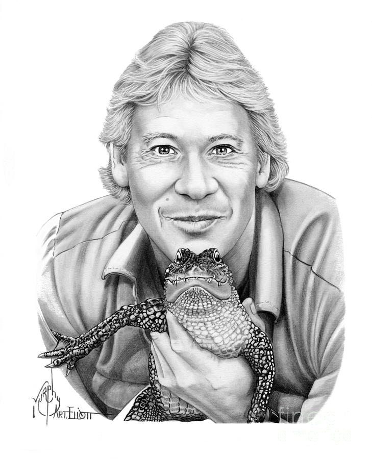 Steve Irwin Drawing by Murphy Elliott