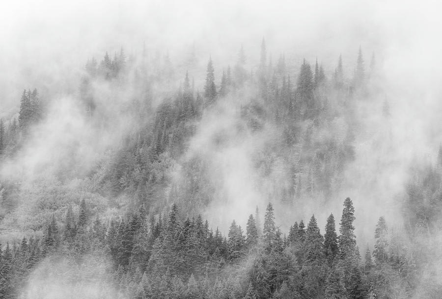 Nature Photograph - Stevens Pass Storm 6329 by Bob Neiman