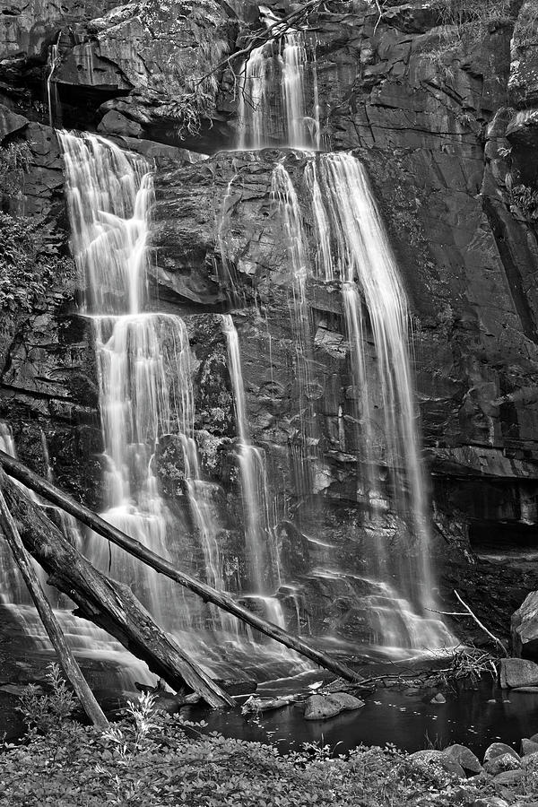 Stevensons Falls in Black and White Photograph by Catherine Reading