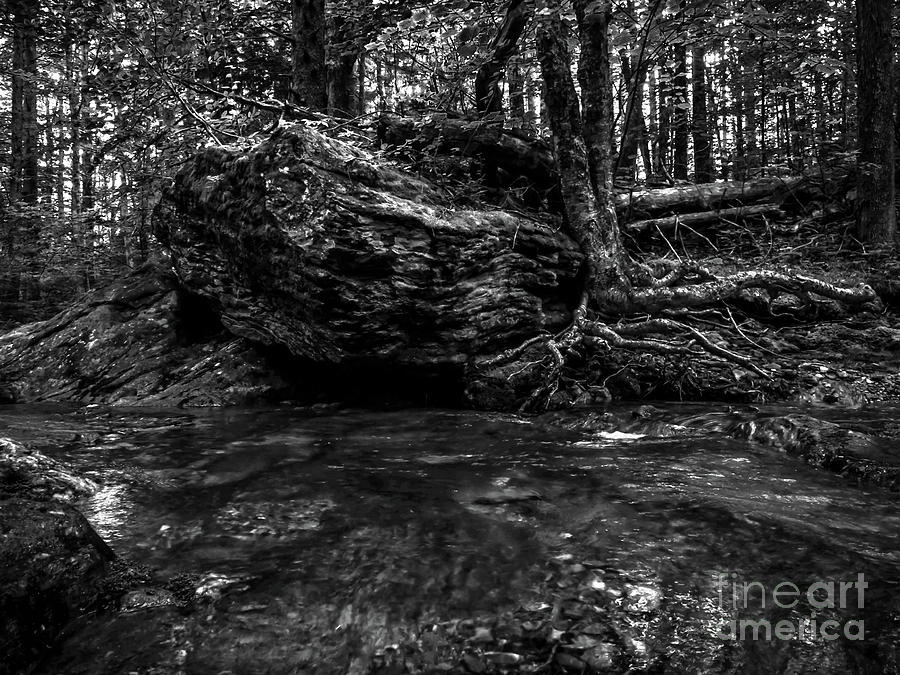 Stevensville Brook in Underhill, Vermont - 1 BW Photograph by James Aiken